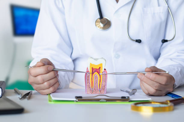 Best Pediatric Emergency Dentist in Maumelle, AR